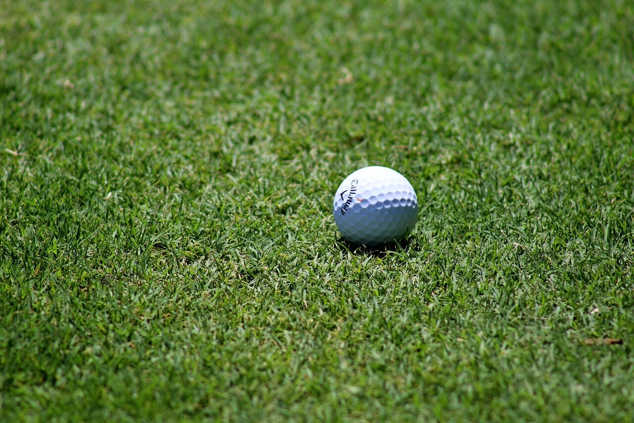 golf, golf ball, golf course, grass, nature, sport